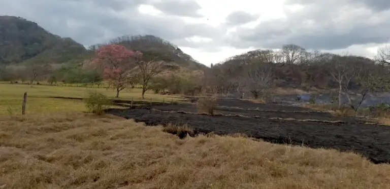 Costa Rican Environmental Commission Approves Plan To Impose Prison Sentences for Vandalism or Arson to the Nation’s Ecosystems