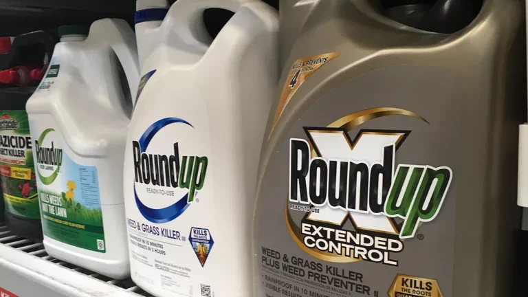 US Court Orders Bayer Substantial Fine After Another Lawsuit Over Potentially Cancer-Causing Herbicide