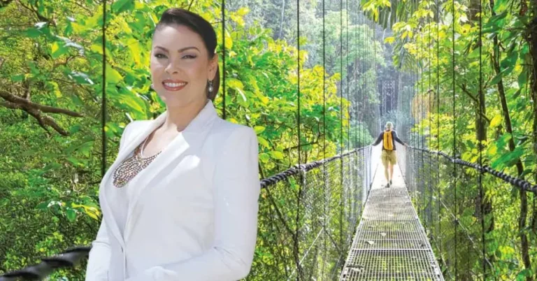 New Guide to Combat Bee Decline in Costa Rica