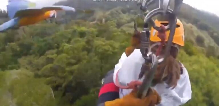 Two Tourists Scream in Amazement at a Macaw On a Canopy Tour in Costa Rica and the Video Goes Viral