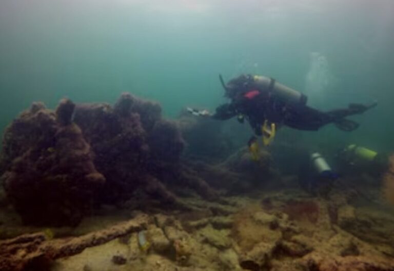 Remains of Two Shipwrecks Found Off Costa Rica’s Caribbean Coast Are Danish Slave Ships