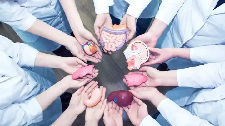 Costa Rica Sets Record for Organ Donation: 130% More Cadaveric Donors in 2025