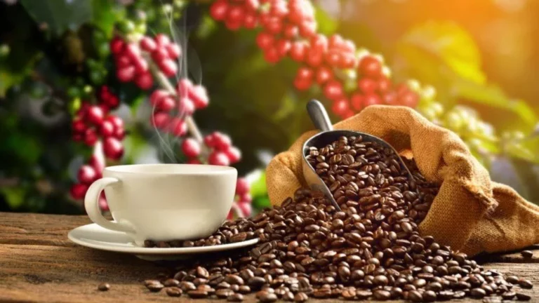 Venezuela Grows the Best Coffee in the World, According to International Experts