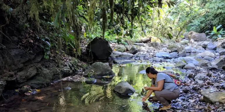 The University of Costa Rica Transforms Communities Through Science and Social Action to Restore Rivers