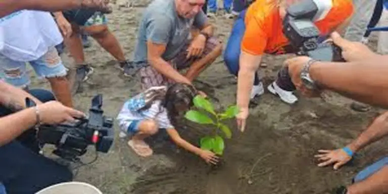 Coopenae and Public Alliance Create La Angostura Natural Corridor to Mitigate Forest Loss in Puntarenas