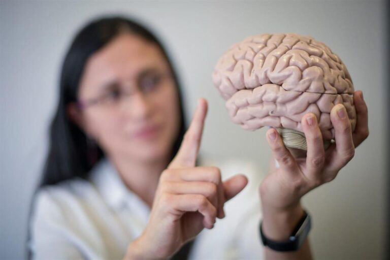 Human Brains Aged Rapidly During the Pandemic, Researchers Say