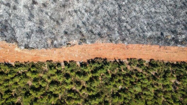 10 Key Global Climate Indicators Are Headed “Wrong,” Scientists Warn