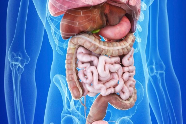 How to Protect Your Gut Health
