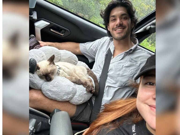 Costa Rica Has Four Times More Dogs and Cats than Children in Our Homes