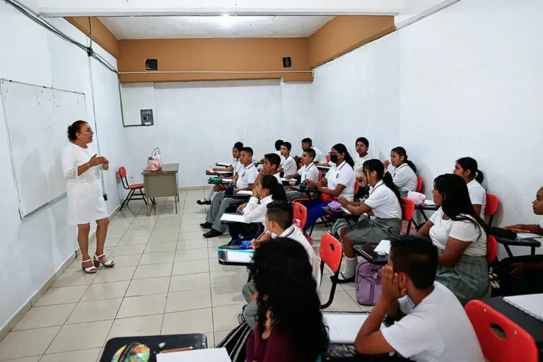 75% of Latin American Students Do Not Reach the Basic Level in Mathematics, According to the OECD