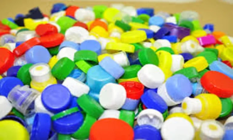 Costa Rica: Dos Pinos And DONATAPA Convert a Thousand Kilos of Bottle Caps into an Accessible Trail on Cahuita Beach