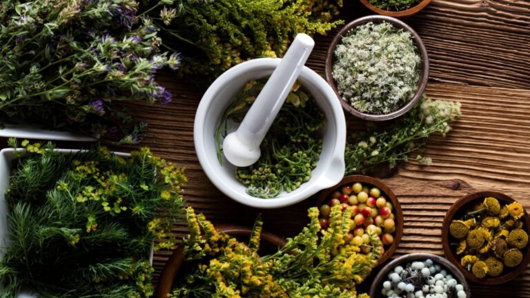 Ancient Wisdom: Costa Rica’s Ancestral Medicine