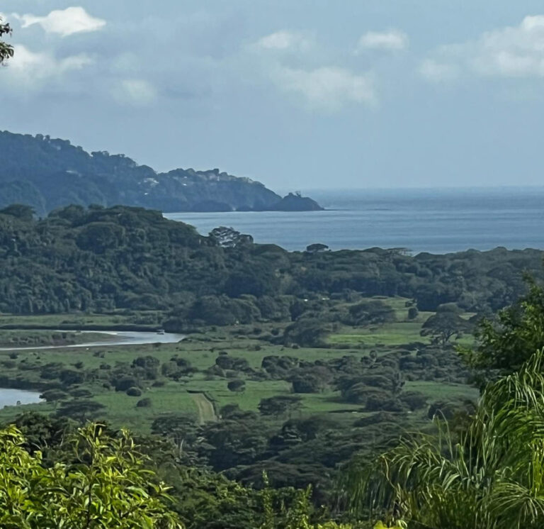 Why Central Pacific Costa Rica Real Estate Is the Smart Investment Choice in 2026