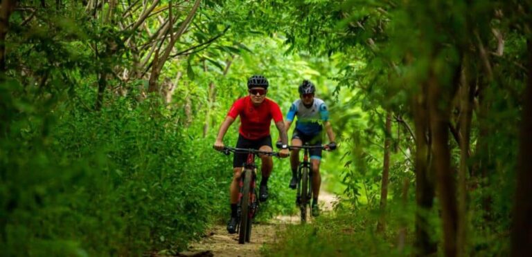 Costa Rica Named “Best Nature Destination” At the 2026 Forbes Travel Awards