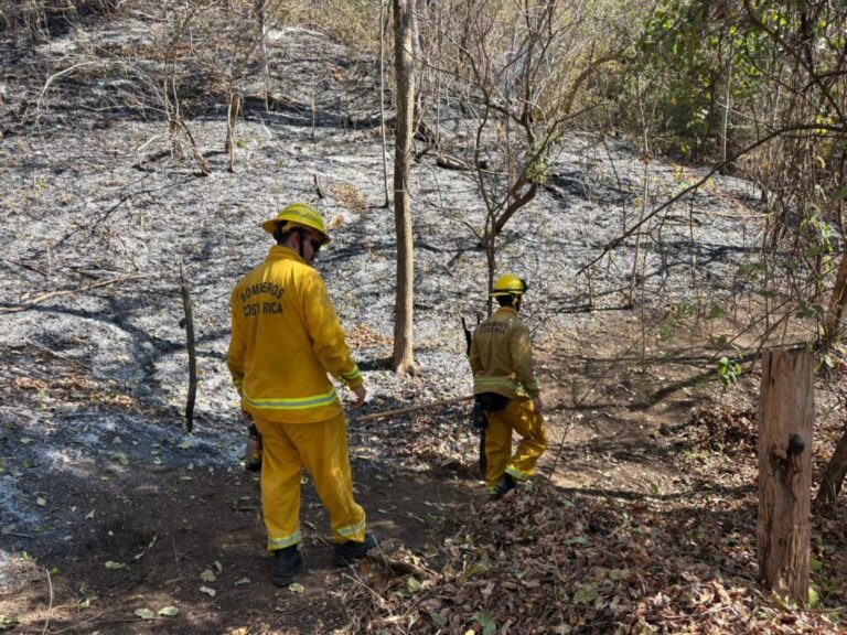 Costa Rica Reaches 120 Wildfires and Breaks Historical Records Ahead of a Critical Month