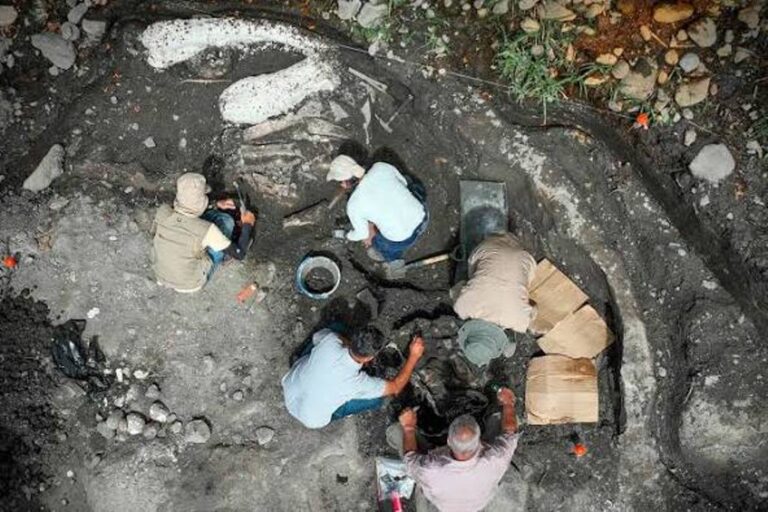 What is Known about the Giant Sloth And Mastodon Fossils Dating Back at Least 10,000 Years in Costa Rica