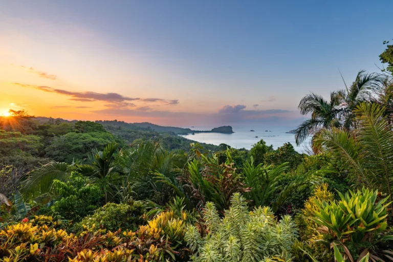 Costa Rica Conquers Dutch Screens: A Paradise Crossing Borders