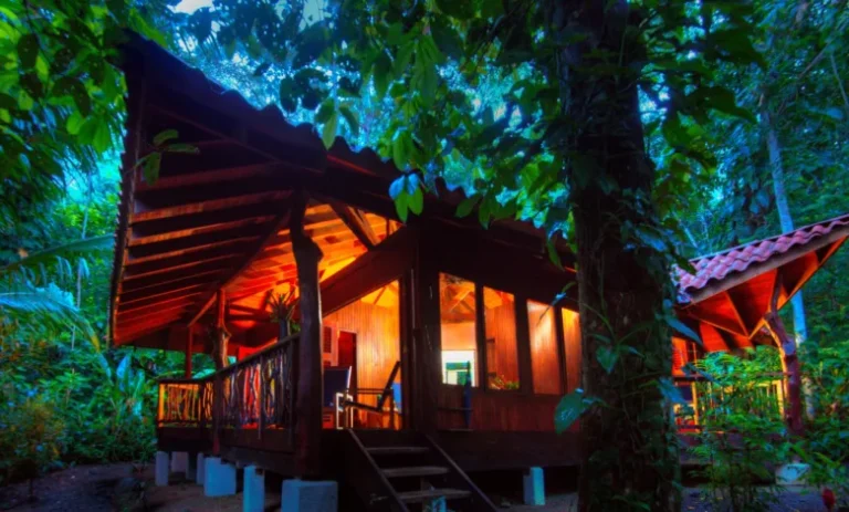  Costa Rica 2.0: Moving Beyond Sustainability Toward Tourism Regeneration
