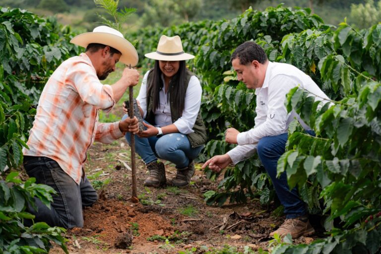 Nestlé Helps Plant More Than 2 Million Trees in Central America