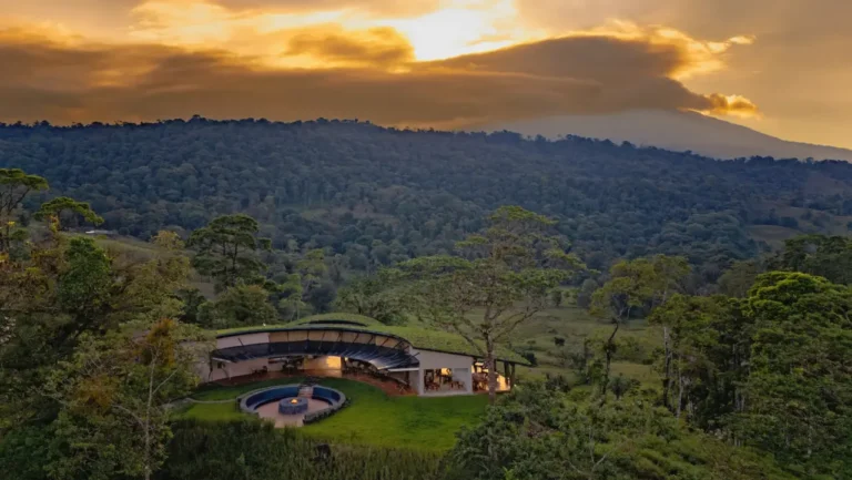 Wellness Retreats: The New Corporate Strategy to Protect Employee Mental Health