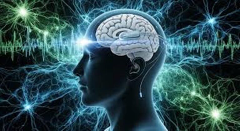 “The Next Level of Tico Success: How NeuroTourism Will Transform Experience into Biological Memory”