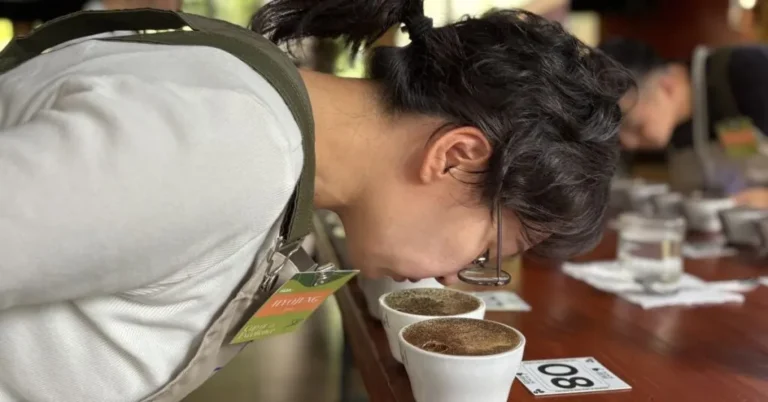 Costa Rican Coffee Smashes Records at the 2026 Cup of Excellence Auction