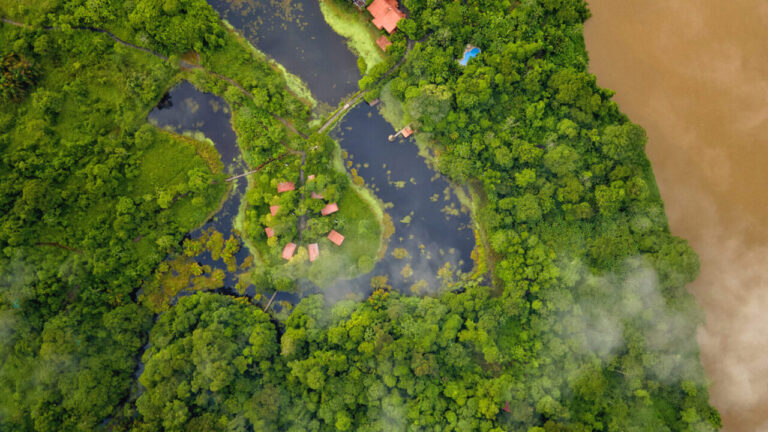 The Costa Rican Hotel Transforming Tree Canopies into Luxury Sustainable Lodging