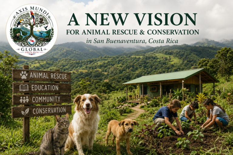 Axis Mundi Costa Rica animal rescue sanctuary in San Buenaventura, Puntarenas