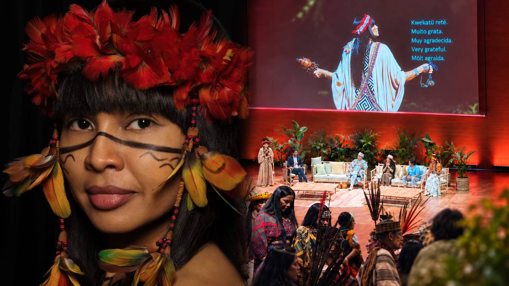 Is Indigenous Knowledge Science? Rethinking What We Mean by “Science”