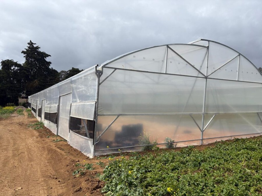Costa Rica Invests ¢20M in Cartago Onion Drying Infrastructure