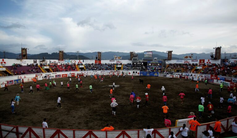 Zapote festivities tender declared void
